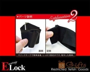 ELock 腕足之拘束
