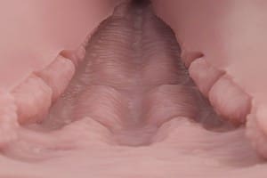 大魔王 Muses Fillo - Image 9