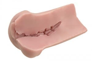 大魔王 Muses Fillo - Image 5