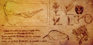 大魔王 Muses Fillo - Image 12