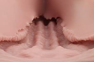 大魔王 Muses Kokalo