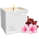 Jimmyjane Afterglow 天然按摩油蠟燭