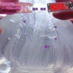 6本肉極樂護士 (硬版)