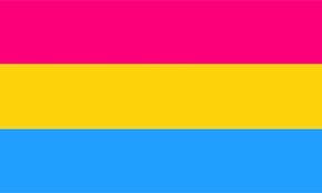 Pansexual Flag