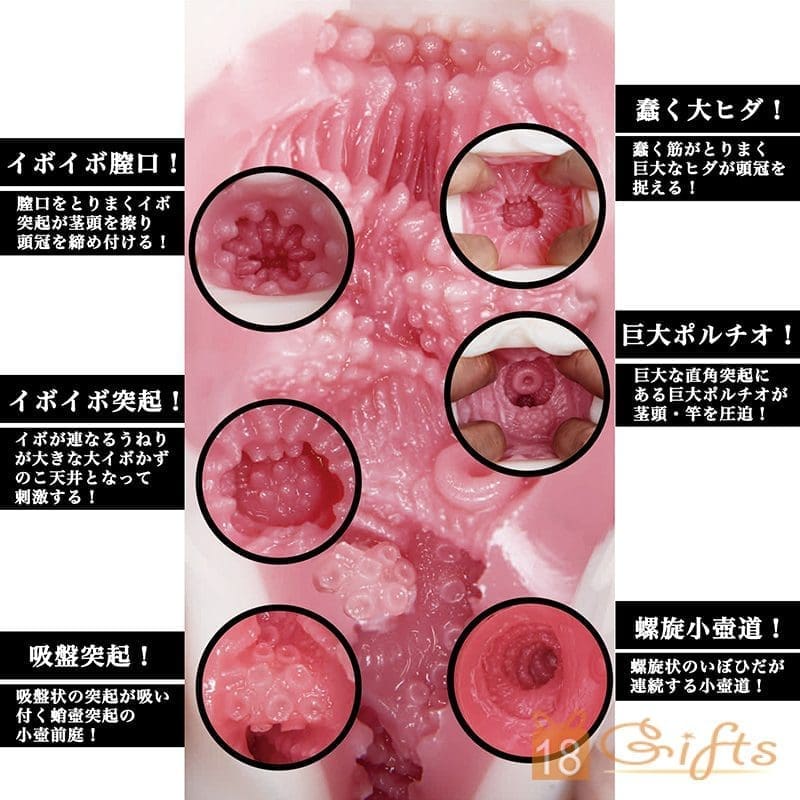 名器の証明11 高橋聖子 名器の証明11 高橋聖子