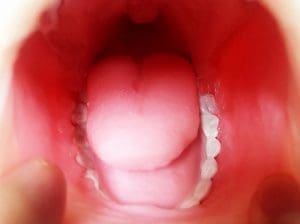 試用報告/開箱文 – 近年必買口交型名器