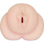 美姫傳説 大槻響