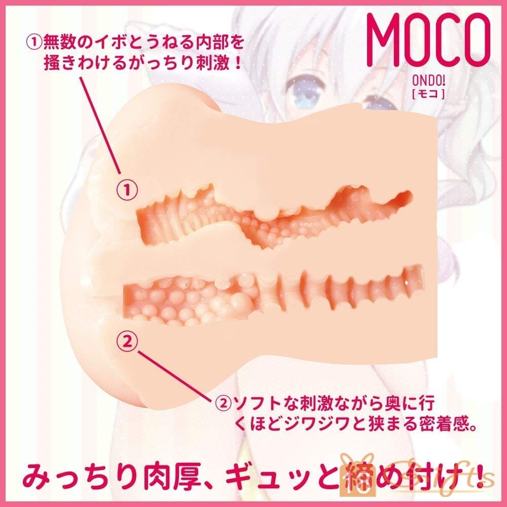 MOCOの2穴屁屁