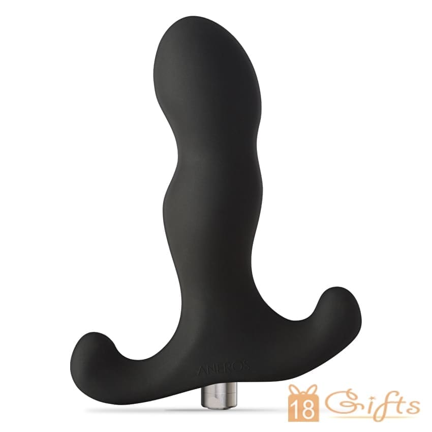 Aneros Vice 前列腺震動按摩器