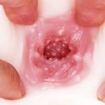 三代目 極上生腰