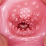 三代目 極上生腰