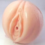 日本の名器 数の子天井