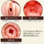 日本の名器 数の子天井