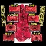 名器の証明12 深田詠美