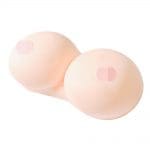 極上 日本の胸部 L Cup