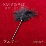 夜遊SM豪華10件套