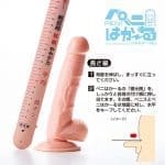 PENI HAKARU 陰莖量尺 - Image 4