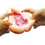 成為俘虜的公主騎士 孕育輪姦極上名器