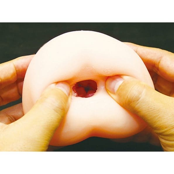 成為俘虜的公主騎士 孕育輪姦極上名器