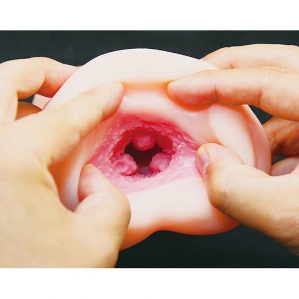 成為俘虜的公主騎士 孕育輪姦極上名器