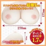 LOVE FACTOR - 乳狭間的戰爭 鬼姫之亂