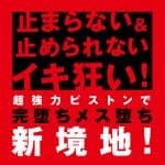 PPP 後庭活塞振動捧9