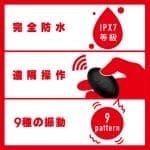 PPP 後庭活塞振動捧9