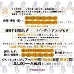 PEACH TOYS – 名器革命 MIMIZU 990