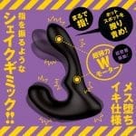 PPP 雌墮後庭指震棒 9