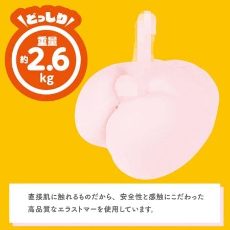違背道德DX 放置完全固定式