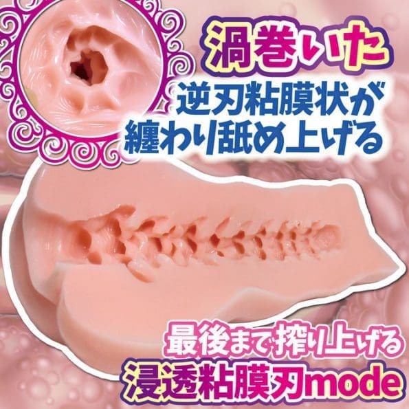 肉壁黏膜連續刃