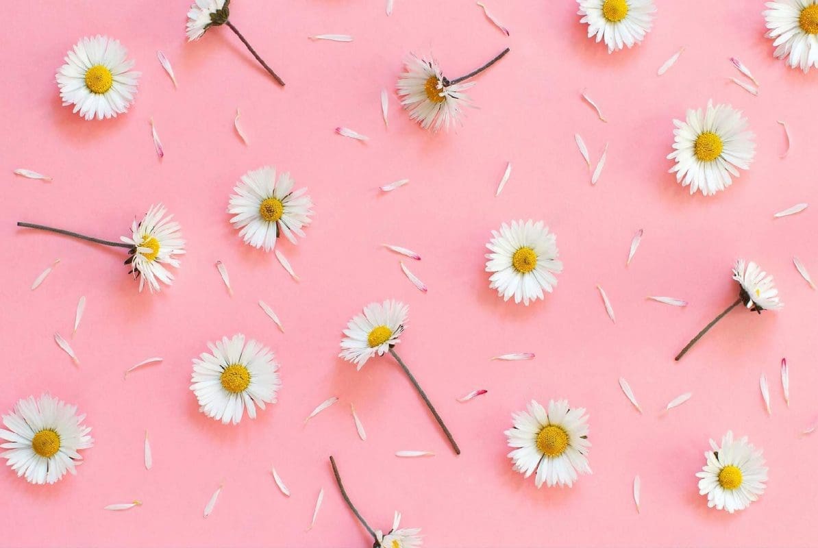 想要安全又潔淨的後庭性愛體驗？這些清洗方法必須知道！