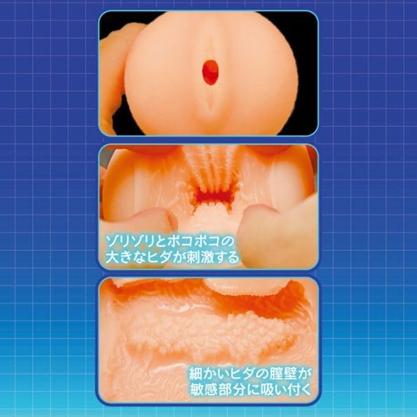 獸魂戰隊 THE HOLE 蒼宮瑞波