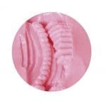 桑拿女孩為你整頓