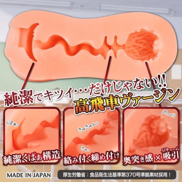 性徒會長 處女版