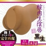 膣肉生陰唇 黑生
