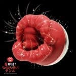 舌好調!! 舔陰吸吮震動器