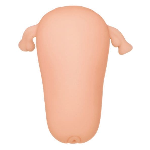 親吻子宮～要著床了～ 合歓垣天音