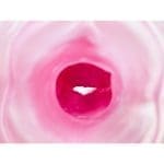 PEACH TOYS – 名器革命 DX 鮭魚子軌道