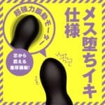 雌墜後庭震動棒30 頂部搖擺2