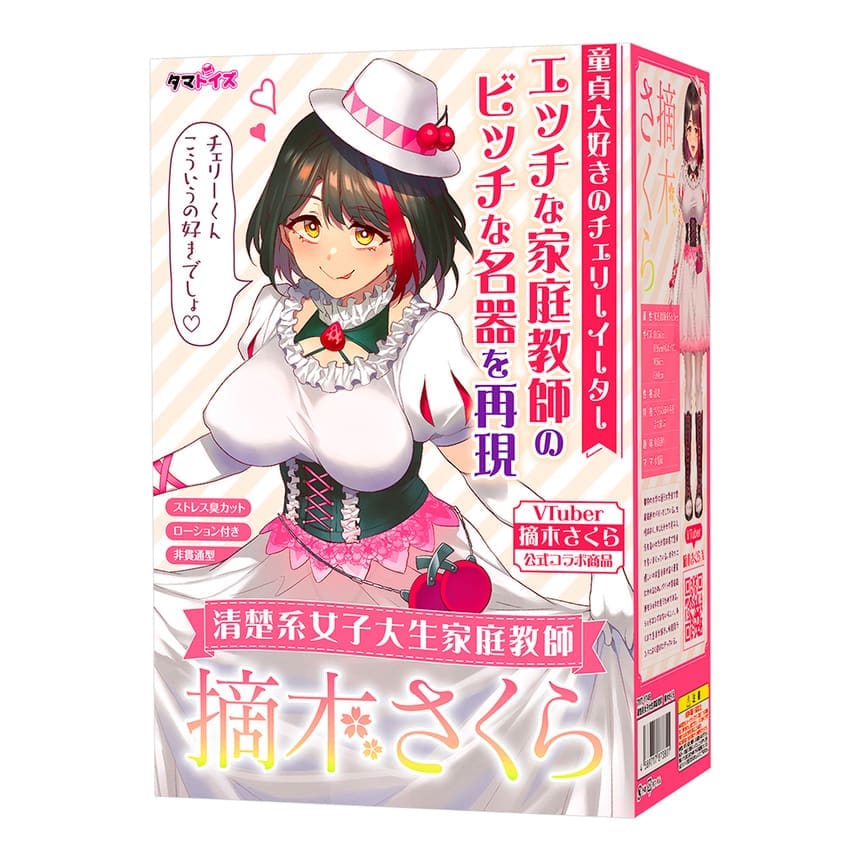 清楚系女子大生家庭教師 摘木さくら