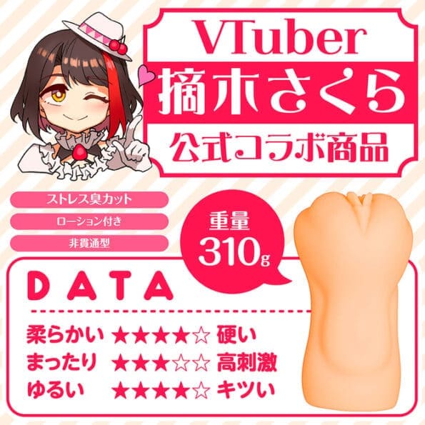 清楚系女子大生家庭教師 摘木さくら