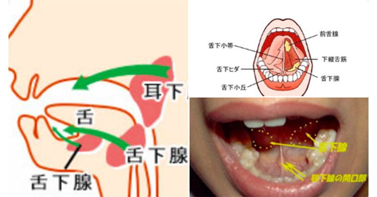 處男也能成為口交大師！5個技巧讓她瞬間沉醉於你