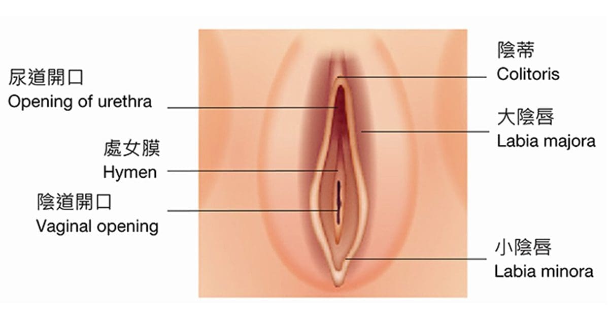 處男也能成為口交大師！5個技巧讓她瞬間沉醉於你