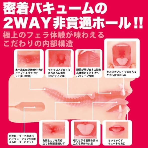 神舌Classic 新村朱里