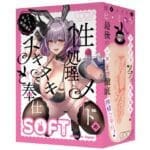 性慾處理女僕的濕漉漉奉仕 SOFT
