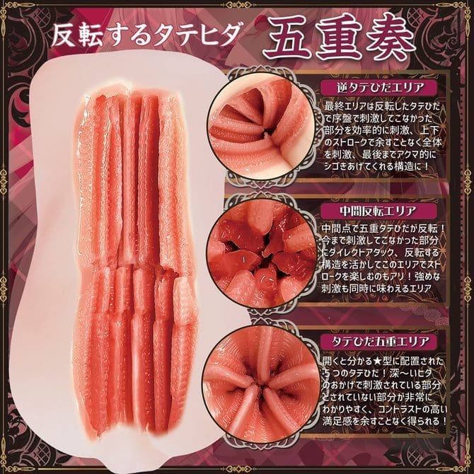 惡魔大小姐的反轉皺褶五重奏