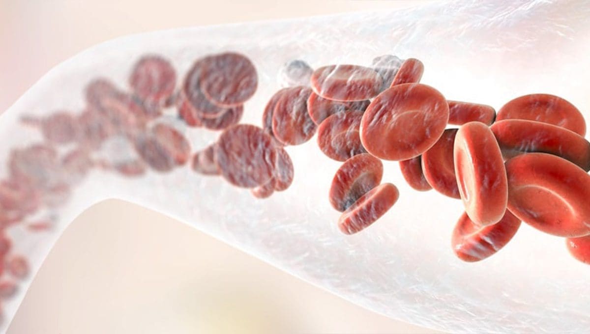 性愛表現不理想？試試這9款強效食物