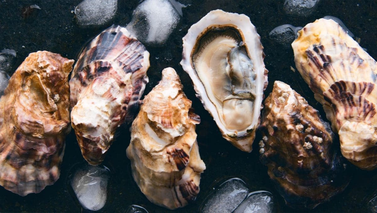 性愛表現不理想？試試這9款強效食物