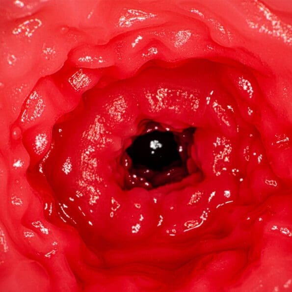 AV迷你名器 新井里真